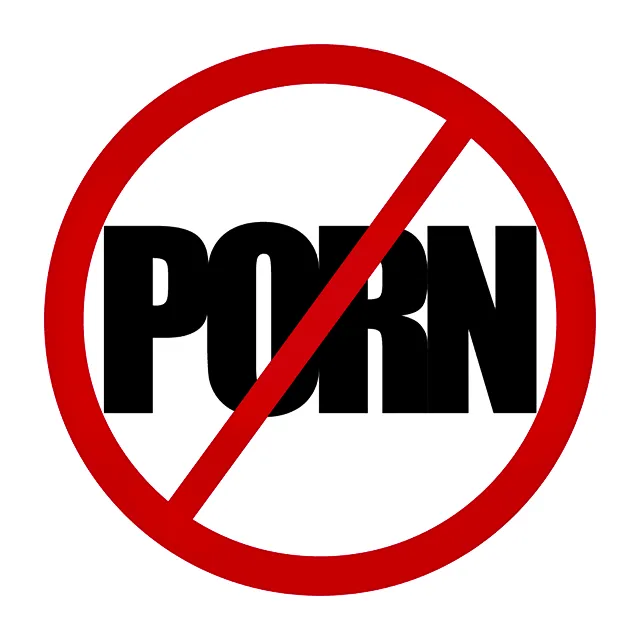 No Pornography
