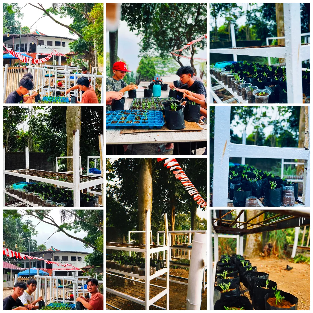 DarQin Farm: Belajar Bertani ala Santri Daarul Mutqin